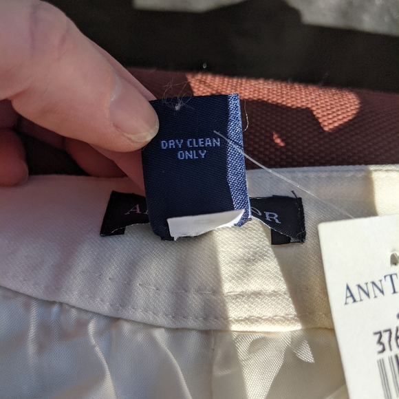 Ann Taylor lined wool cream dress slacks size 8 - Picture 6 of 9